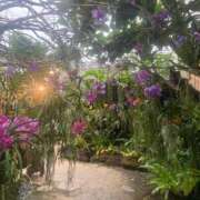 ヒメ日記 2025/09/19 11:05 投稿 玲 ニュー姫