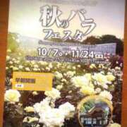 ヒメ日記 2025/10/16 13:22 投稿 舞衣 the SPA KADOEBI