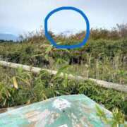 ヒメ日記 2025/11/06 12:22 投稿 舞衣 the SPA KADOEBI