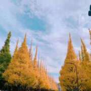 ヒメ日記 2025/12/02 07:52 投稿 舞衣 the SPA KADOEBI