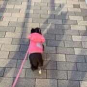 ヒメ日記 2026/03/04 11:05 投稿 ありさ ニュー姫