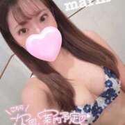 ヒメ日記 2026/02/12 15:45 投稿 まりん ニュー姫