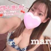 ヒメ日記 2026/03/11 15:46 投稿 まりん ニュー姫