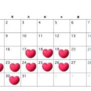 ヒメ日記 2026/03/15 10:55 投稿 まりん ニュー姫