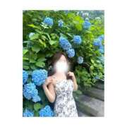 ヒメ日記 2025/06/27 17:07 投稿 かれん 池袋千姫