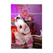 ヒメ日記 2025/09/19 17:17 投稿 かれん 池袋千姫