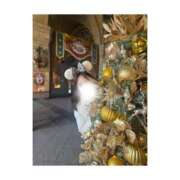 ヒメ日記 2025/12/19 17:18 投稿 かれん 池袋千姫