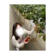 ヒメ日記 2026/04/17 17:10 投稿 かれん 池袋千姫