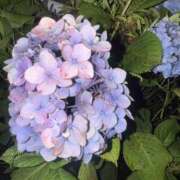 ヒメ日記 2025/06/13 13:04 投稿 れい キスMy