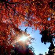 ヒメ日記 2025/12/21 21:41 投稿 れい キスMy