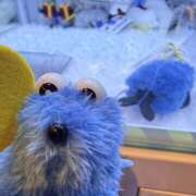 ヒメ日記 2026/01/30 08:56 投稿 れい キスMy