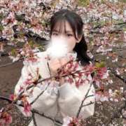 ヒメ日記 2026/04/03 08:50 投稿 亜美 池袋千姫