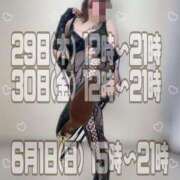 ヒメ日記 2025/05/28 15:20 投稿 一条～ICHIJOU～ BBW名古屋店