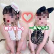 ヒメ日記 2025/08/07 19:01 投稿 一条～ICHIJOU～ BBW名古屋店