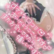 ヒメ日記 2026/01/29 12:11 投稿 一条～ICHIJOU～ BBW名古屋店