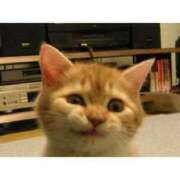 ヒメ日記 2025/02/23 11:43 投稿 えま 完熟ピーチ