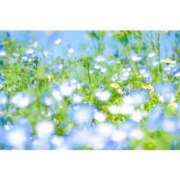 ヒメ日記 2025/05/11 11:00 投稿 えま 完熟ピーチ