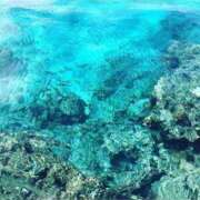 ヒメ日記 2025/06/14 09:57 投稿 えま 完熟ピーチ