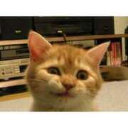 ヒメ日記 2025/11/29 13:59 投稿 えま 完熟ピーチ