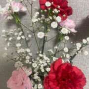 ヒメ日記 2025/06/01 08:12 投稿 こころ the SPA KADOEBI