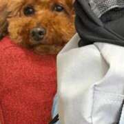 こころ 😢 the SPA KADOEBI