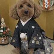 こころ 明けましておめでとう🎍 the SPA KADOEBI