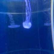 ヒメ日記 2026/05/08 17:12 投稿 こころ the SPA KADOEBI