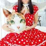 ヒメ日記 2026/02/25 15:32 投稿 ゆう the SPA KADOEBI