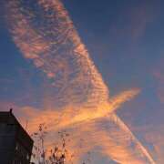 ヒメ日記 2026/02/02 07:29 投稿 うた colors-カラーズ-(那須塩原)