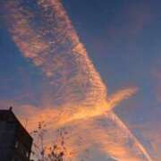 ヒメ日記 2026/02/11 06:56 投稿 うた colors-カラーズ-(那須塩原)