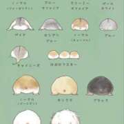 ヒメ日記 2026/02/12 11:55 投稿 うた colors-カラーズ-(那須塩原)