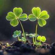 ヒメ日記 2026/02/12 12:34 投稿 うた colors-カラーズ-(那須塩原)