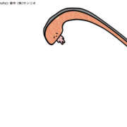 ヒメ日記 2026/02/24 10:13 投稿 うた colors-カラーズ-(那須塩原)