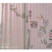 ヒメ日記 2026/03/25 12:04 投稿 うた colors-カラーズ-(那須塩原)