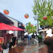 ヒメ日記 2025/04/16 14:48 投稿 えれな 美女物語