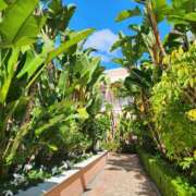 ヒメ日記 2025/05/09 23:12 投稿 えれな 美女物語