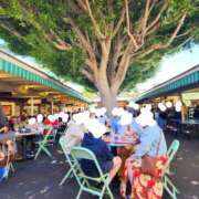 ヒメ日記 2025/06/13 23:26 投稿 えれな 美女物語