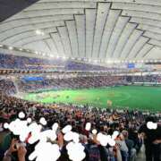 ヒメ日記 2025/07/11 16:18 投稿 えれな 美女物語