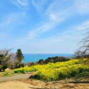 ヒメ日記 2025/08/23 15:09 投稿 えれな 美女物語