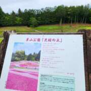 ヒメ日記 2025/09/10 23:12 投稿 えれな 美女物語