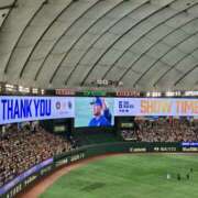 ヒメ日記 2025/10/08 14:53 投稿 えれな 美女物語