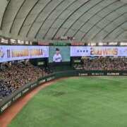 ヒメ日記 2025/10/12 18:45 投稿 えれな 美女物語