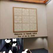 ヒメ日記 2025/11/10 23:25 投稿 えれな 美女物語