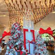 ヒメ日記 2025/11/13 21:46 投稿 えれな 美女物語