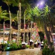 ヒメ日記 2025/12/03 14:14 投稿 えれな 美女物語