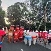 ヒメ日記 2025/12/09 18:39 投稿 えれな 美女物語