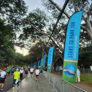 ヒメ日記 2026/01/04 01:02 投稿 えれな 美女物語