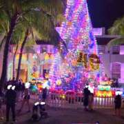 えれな ※無題 美女物語