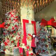 ヒメ日記 2026/01/17 14:30 投稿 えれな 美女物語