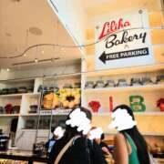 ヒメ日記 2026/01/31 00:41 投稿 えれな 美女物語